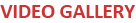 Video Gallery